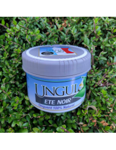 Onguent Eté Noir Ungula