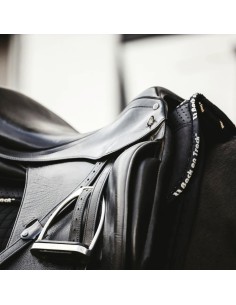 Amortisseur AURORA Back on Track