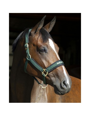 Licol WERANO Back on Track vert