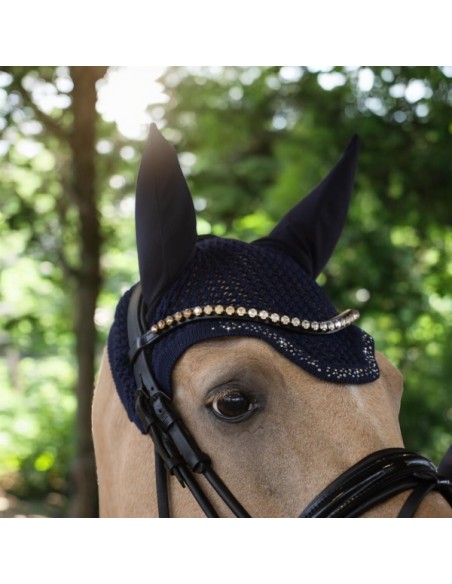 Bonnet Delight Collection Equest.