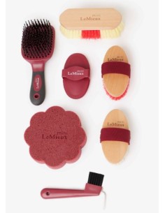 Ensemble de pansage mini LeMieux 2