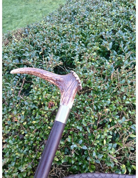 Fouet de chasse avec bois de cerf véritable et flotte FLECK