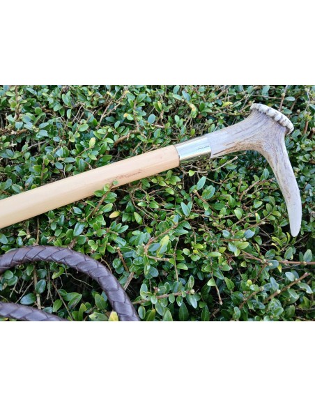 Fouet de chasse avec bois de cerf véritable et flotte FLECK