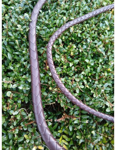 Flotte de fouet de chasse Fleck