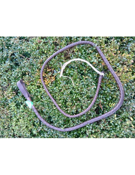 Flotte de fouet de chasse Fleck