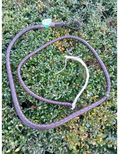 Flotte de fouet de chasse Fleck