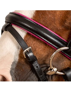 Bridon Shetland Star Waldhausen 2