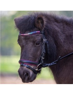 Bridon Shetland Star Waldhausen