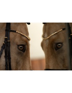 Frontal Passion HKM 2