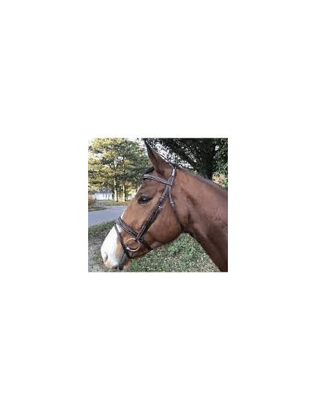 Bridon Confort sans Rênes Cavaletti