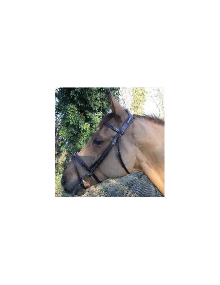 Bridon Classique sans Rênes Cavaletti