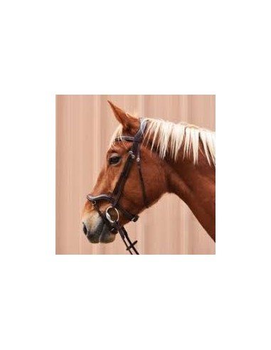 Bridon Soft sans Rênes Cavaletti