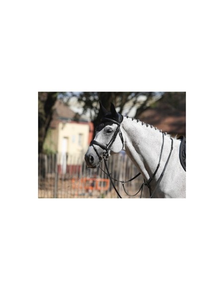 Bridon BRUXELLES Jump 'in One