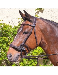 Bridon Hackamore WEEK Jump 'in