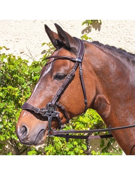 Bridon Hackamore WEEK Jump 'in