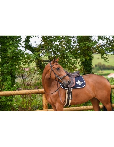 Bridon Hackamore WEEK Jump 'in