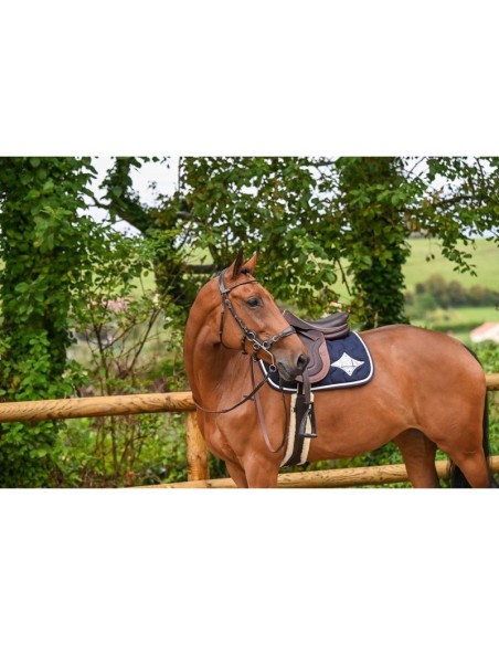 Bridon Hackamore WEEK Jump 'in