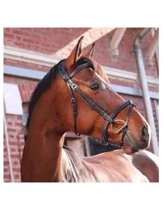 Bridon LONDON ONE Jump 'in 2