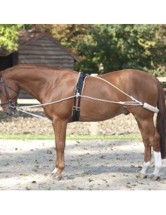 Enrênement de longe Lami-Cell