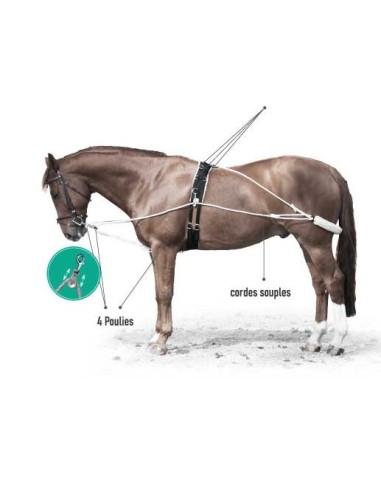 Enrênement de longe Lami-Cell