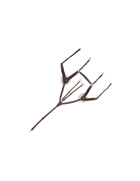 Collier de chasse 5 points Canter marron