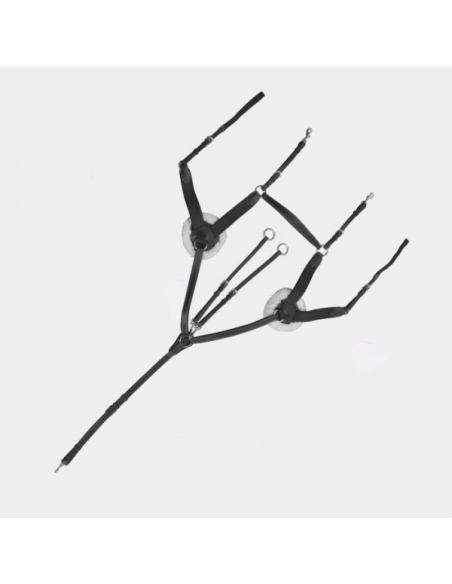 Collier de chasse 5 points Canter noir