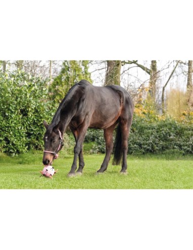 Ballon de jeu pour chevaux HKM