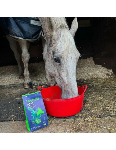 Bonbons Herballs Hilton Herbs