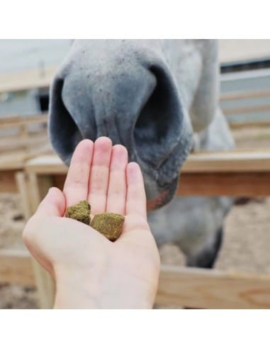 Bonbons Herballs Hilton Herbs