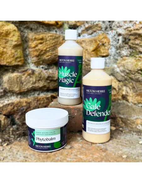 Crème cicatrisante PHYTOBALM Hilton Herbs