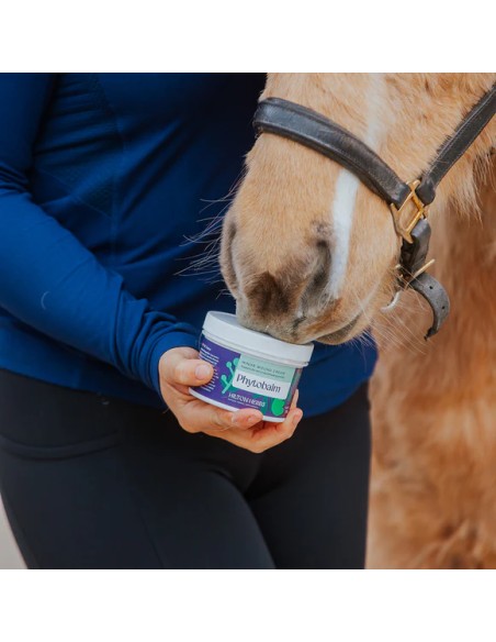 Crème cicatrisante PHYTOBALM Hilton Herbs