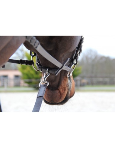 Longe de chasse en cuir CANTER marron