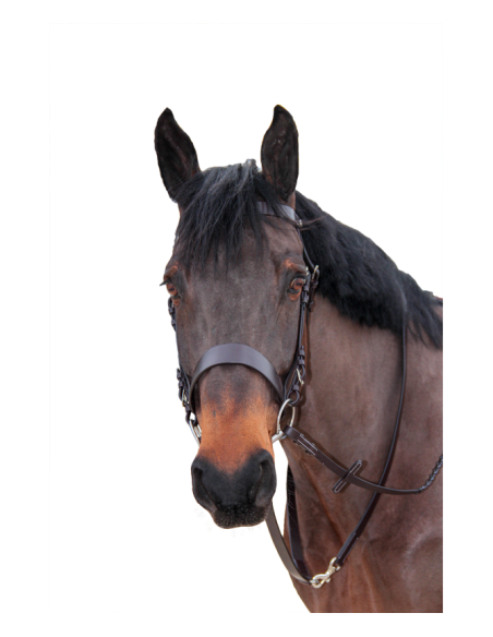 Longe de chasse en cuir CANTER marron