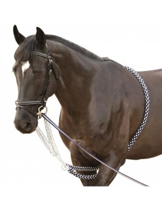 Enrênement SOFT ROPE Canter 2