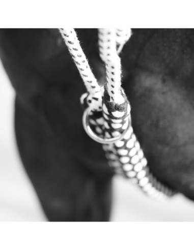 Enrênement SOFT ROPE Canter