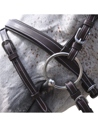 Bridon GÖTEBORG Combiné Flags&Cup