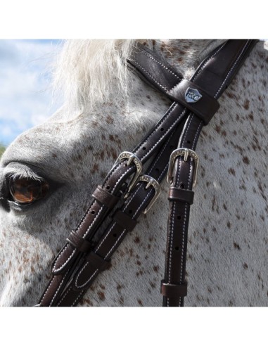 Bridon GÖTEBORG Combiné Flags&Cup