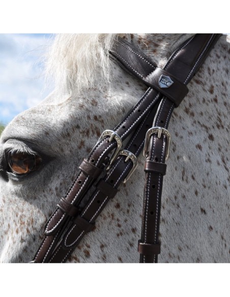 Bridon GÖTEBORG Combiné Flags&Cup