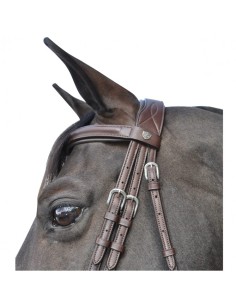 Bridon HICKSTEAD Flags&Cup 2