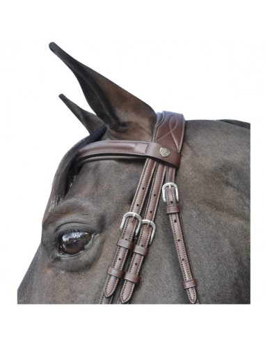 Bridon HICKSTEAD Flags&Cup