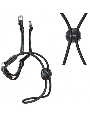 Muserolle Croisée ELASTIQUE Flags&Cup