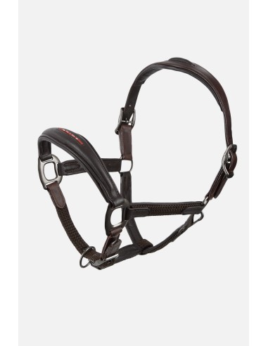 Licol en cuir ANIMO - marron.