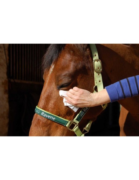 Lingettes nettoyantes Ravene