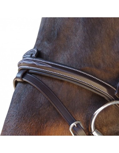 Bridon Surpiqué Combiné Canter