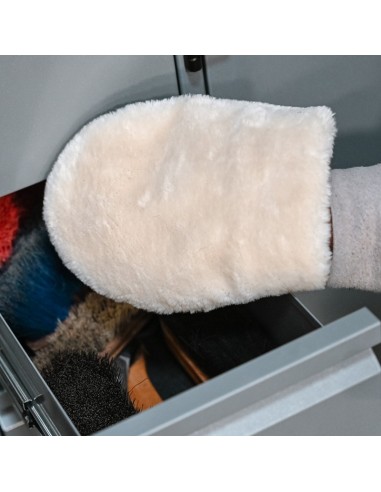 Gant de lustrage Jump'in