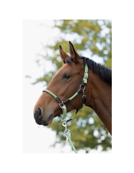 Licol CARLOTTA HKM