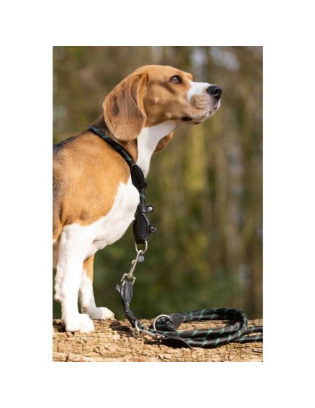 Laisse de dressage pour chien ANAM CARA HKM