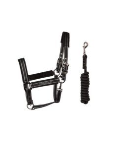 Licol MONA Kingsland 2