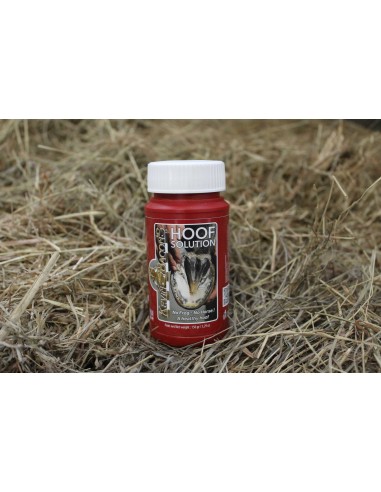 Soins pour fourchettes HOOF SOLUTION  Kevin Bacon