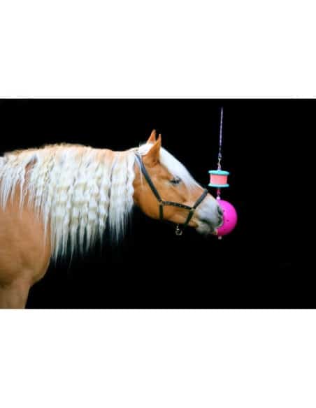 Support de pierre Boredom Breaker Likit